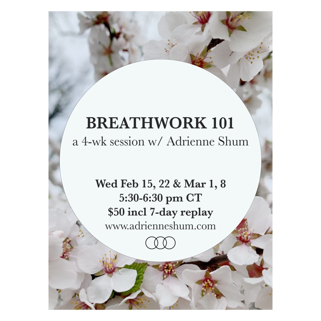 breathwork 101 livestream session