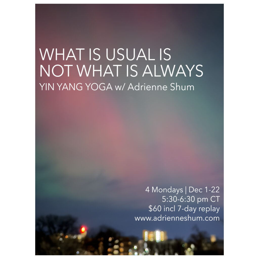 December 2025 livestream yoga