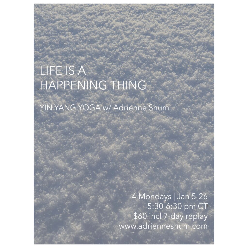 Jan 2026 livestream yoga