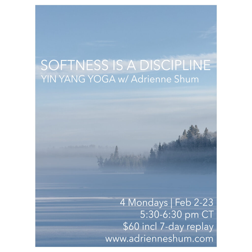 Feb 2026 livestream yoga session