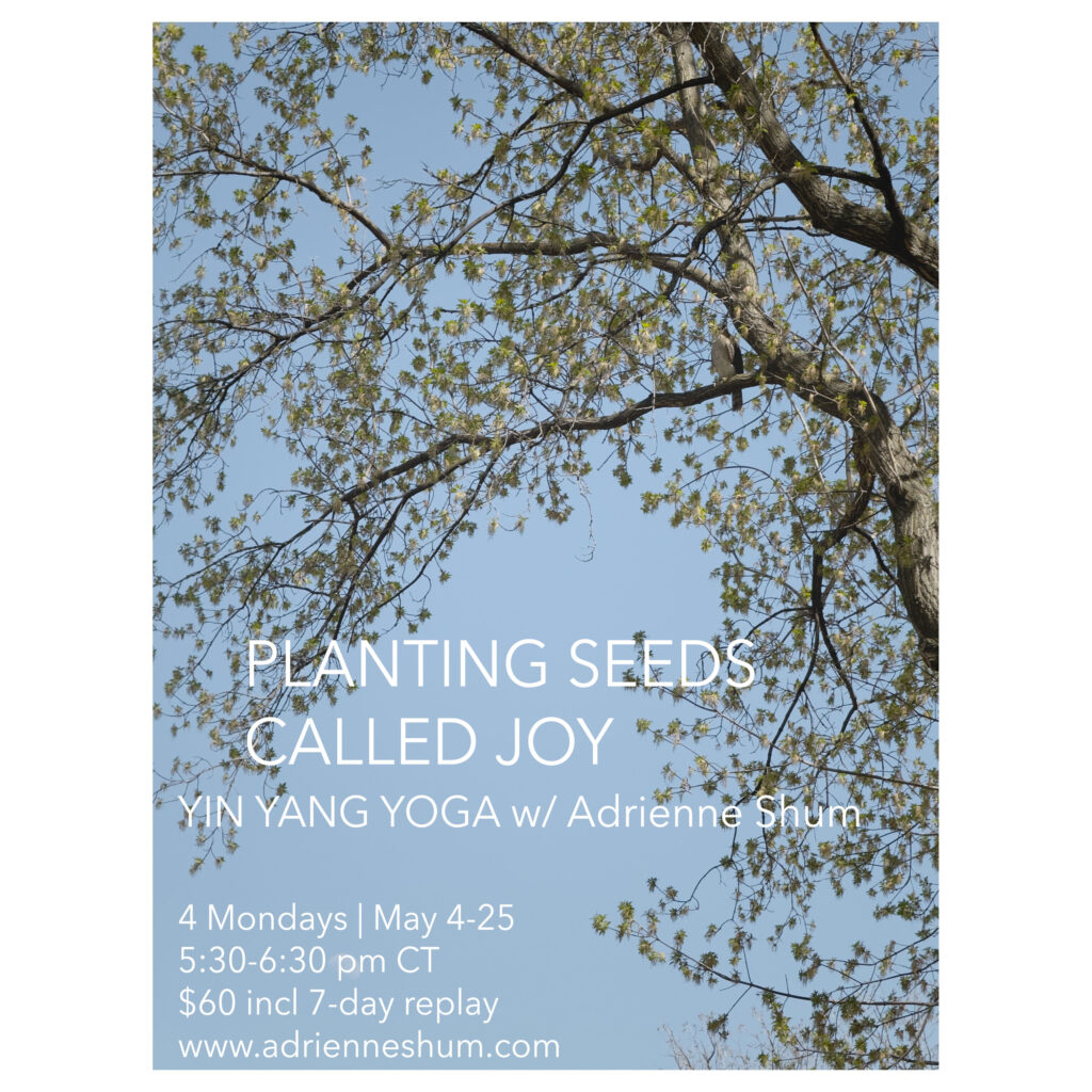 May 2026 livestream yoga