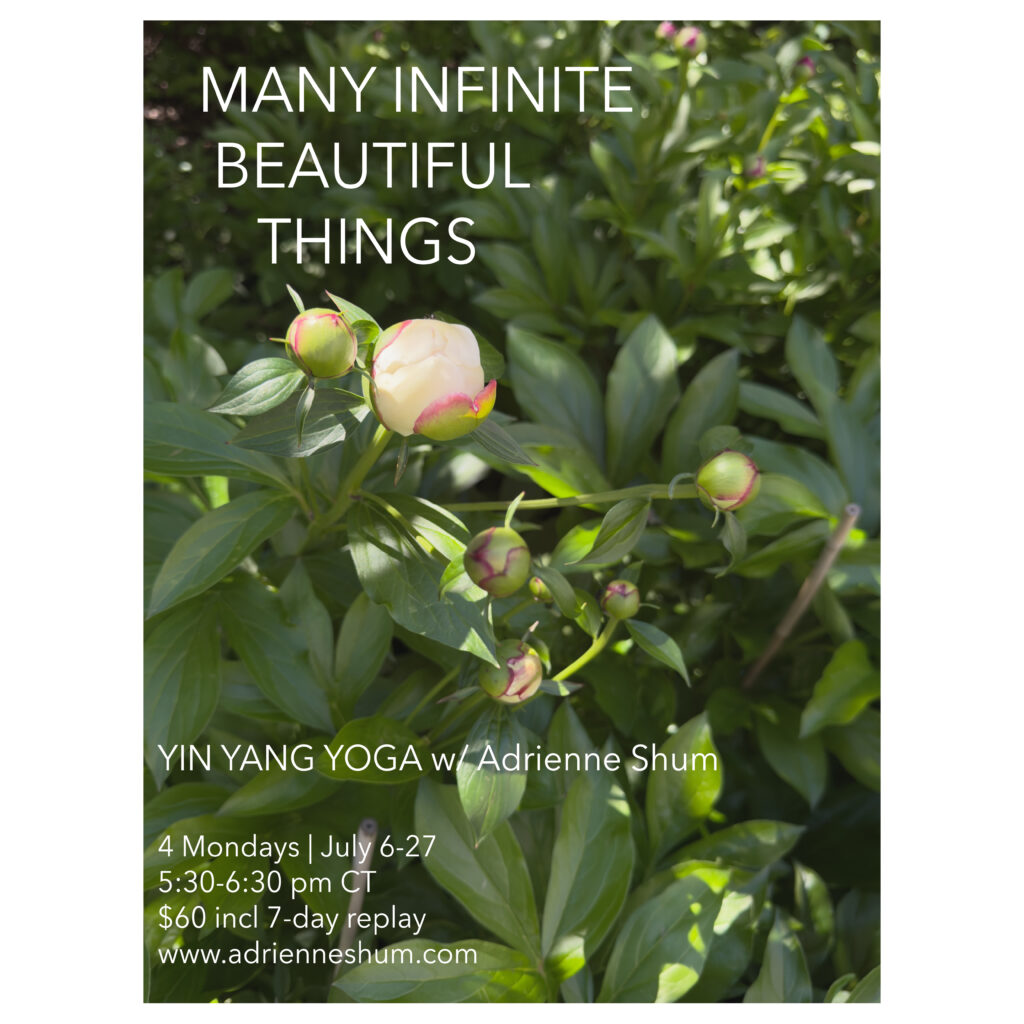 July 2026 livestream yoga