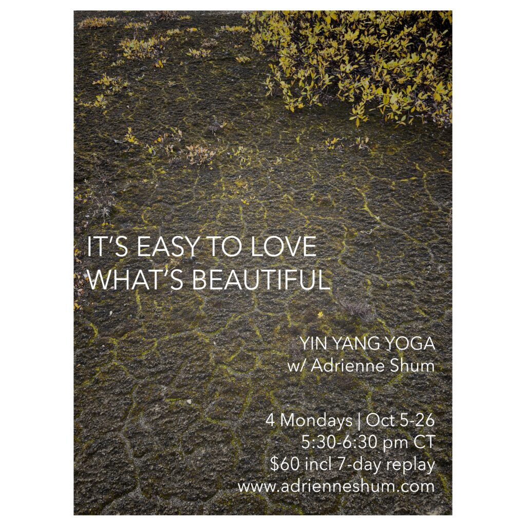 October 2026 livestream yoga session