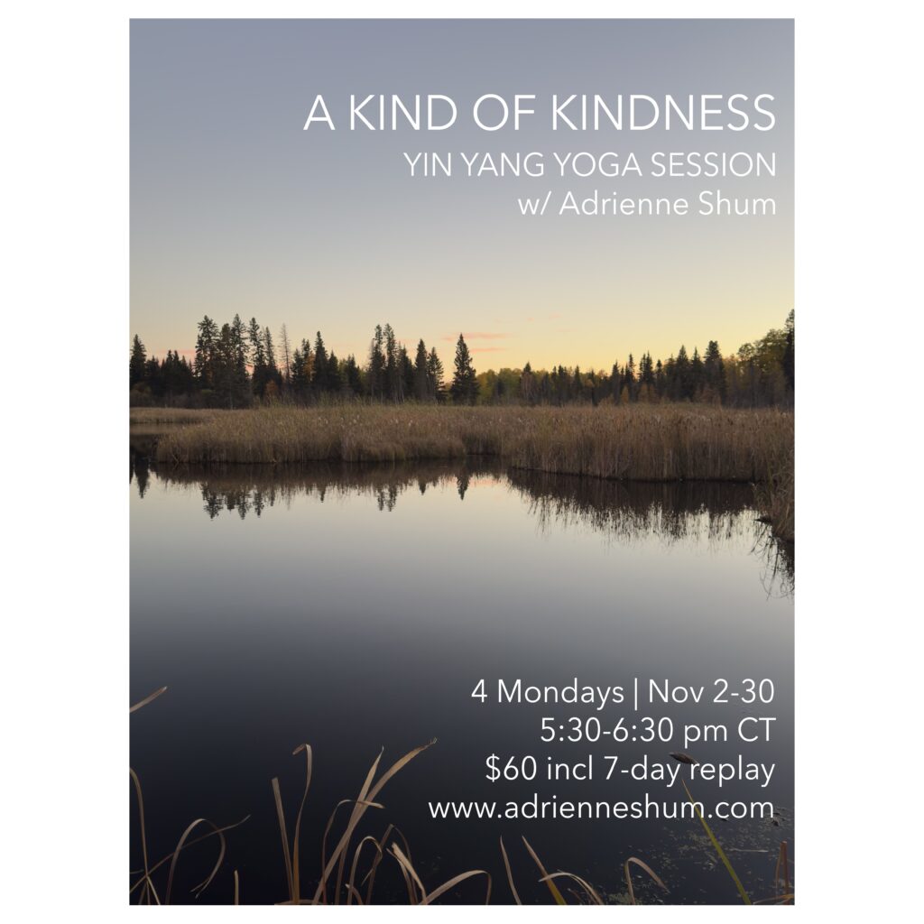 November 2026 livestream yoga session